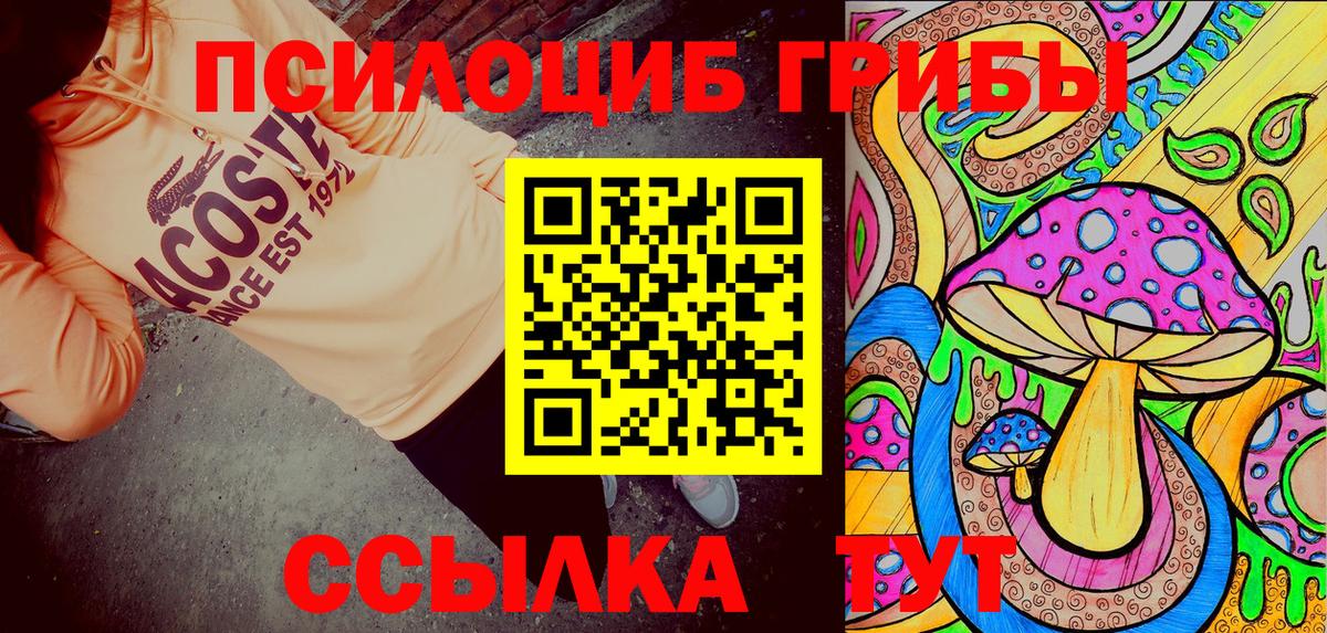 Дальнереченск  хочу   Вход с VPN  Галлюциногенные грибы прущие грибы 