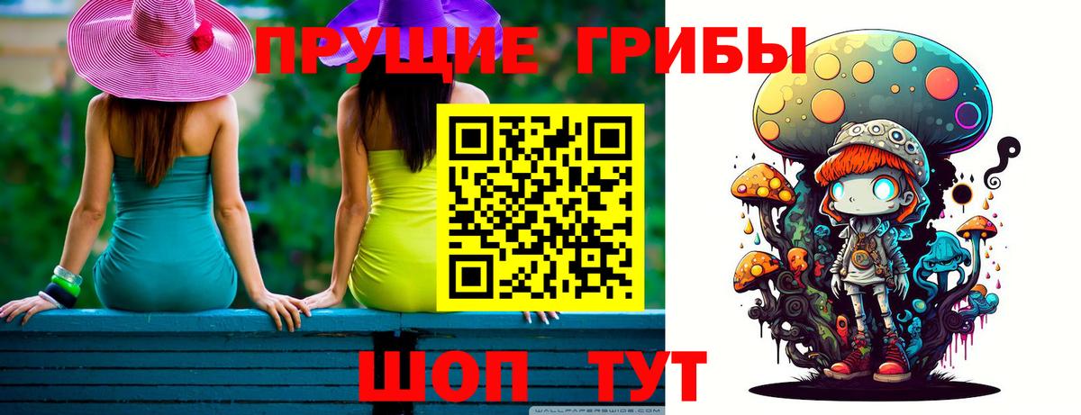 Псилоцибиновые грибы Psilocybine cubensis Дальнереченск